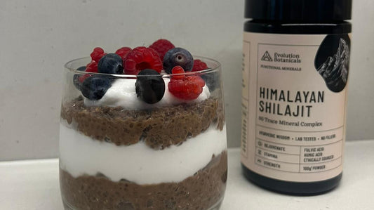 Shilajit Pudding next to a jar of Evolution Botanical's Himalayan Shilajit