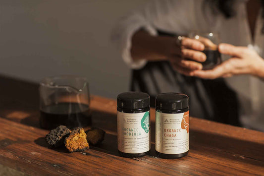 2 Evolution Botanical jars of Rhodiola and Chaga sitting on a wooden table next to a beaker with an unknown liquid inside.