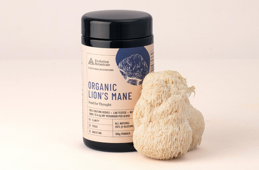 Evolution Botanicals' Lion's Mane jar sitting next to a Lion's mane mushroom