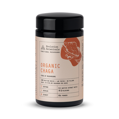 Organic Chaga Jar Front