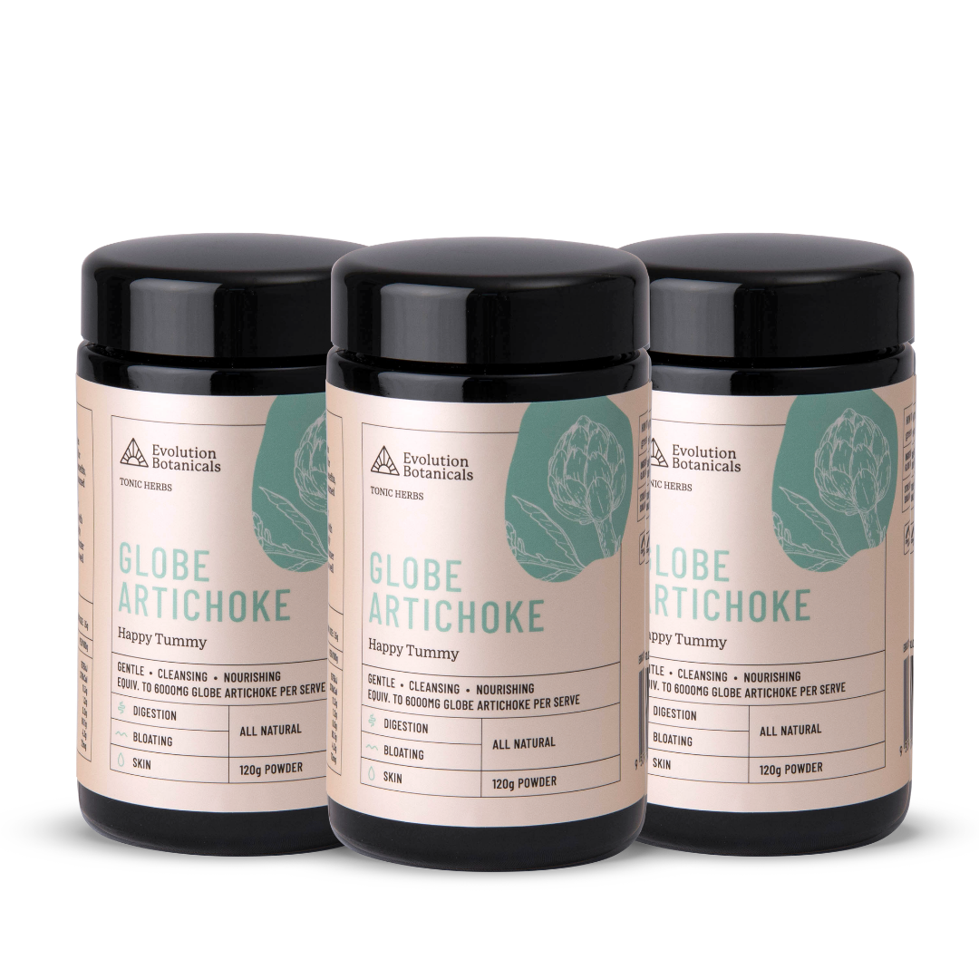 Globe Artichoke