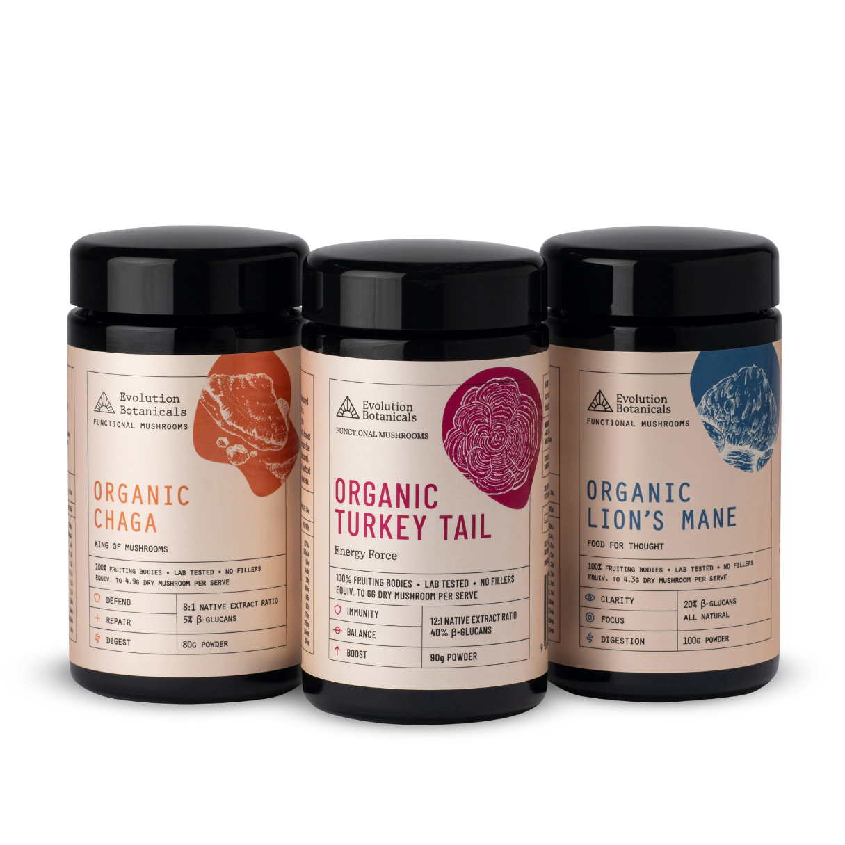 3 different 100g jars of Evolution Botanicals mushrooms, including Organic Chaga, Organic Turkey Tail and Organic Lion's Mane