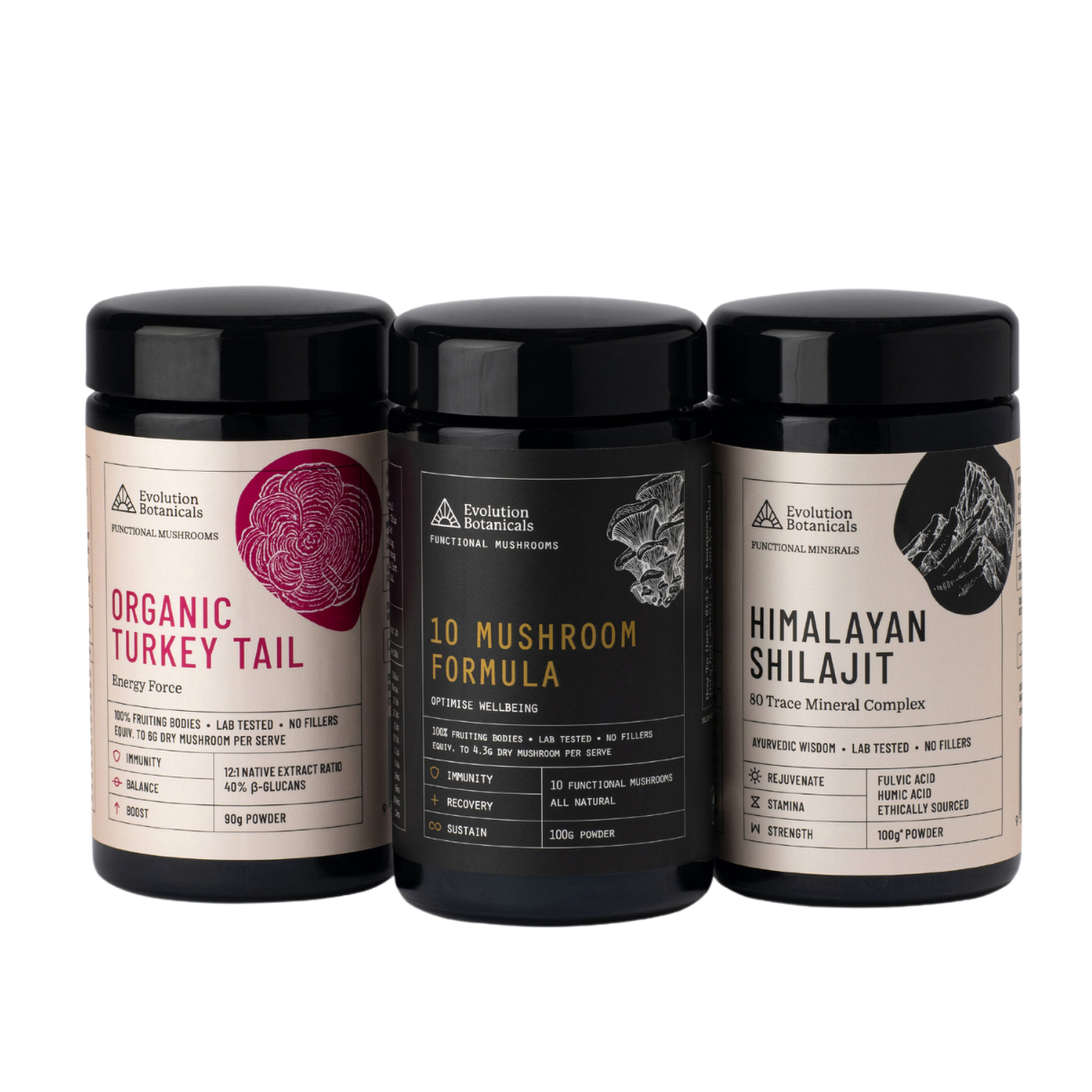 3 100g jars of Evolution Botanicals organic powders, showing Organic Turkey Tail, 10 Mushroom Formula, and Himalayan Shilajit