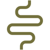 Icon of a digestive tract
