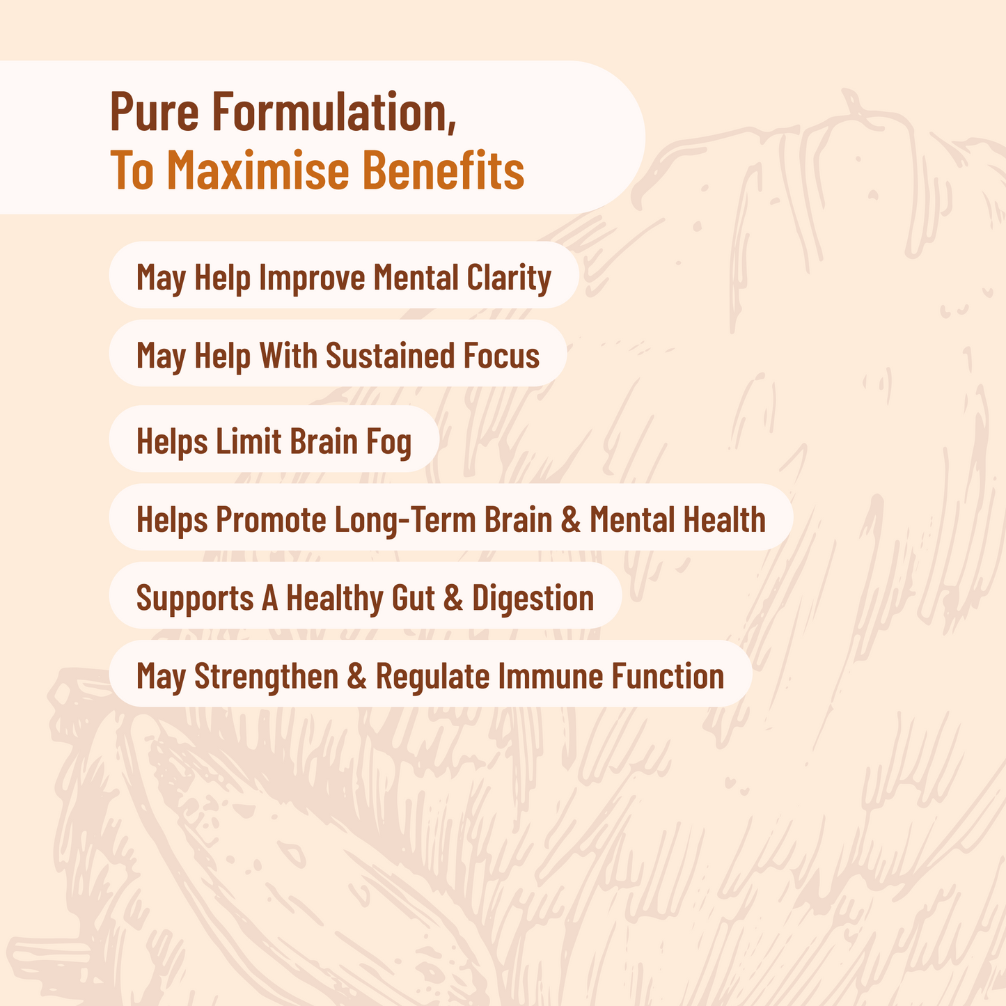 List Of Lions mane Benefits