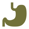 Icon of a stomach