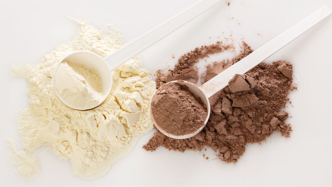 Scoops of Vanilla and Chocolate Protein Powder