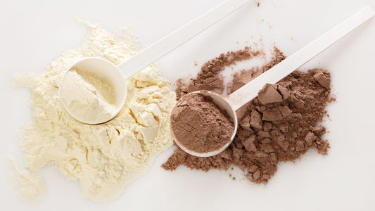 Scoops of Vanilla and Chocolate Protein Powder