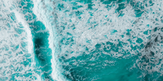 Why Sea Moss Has Become One Of The Most Popular Superfoods