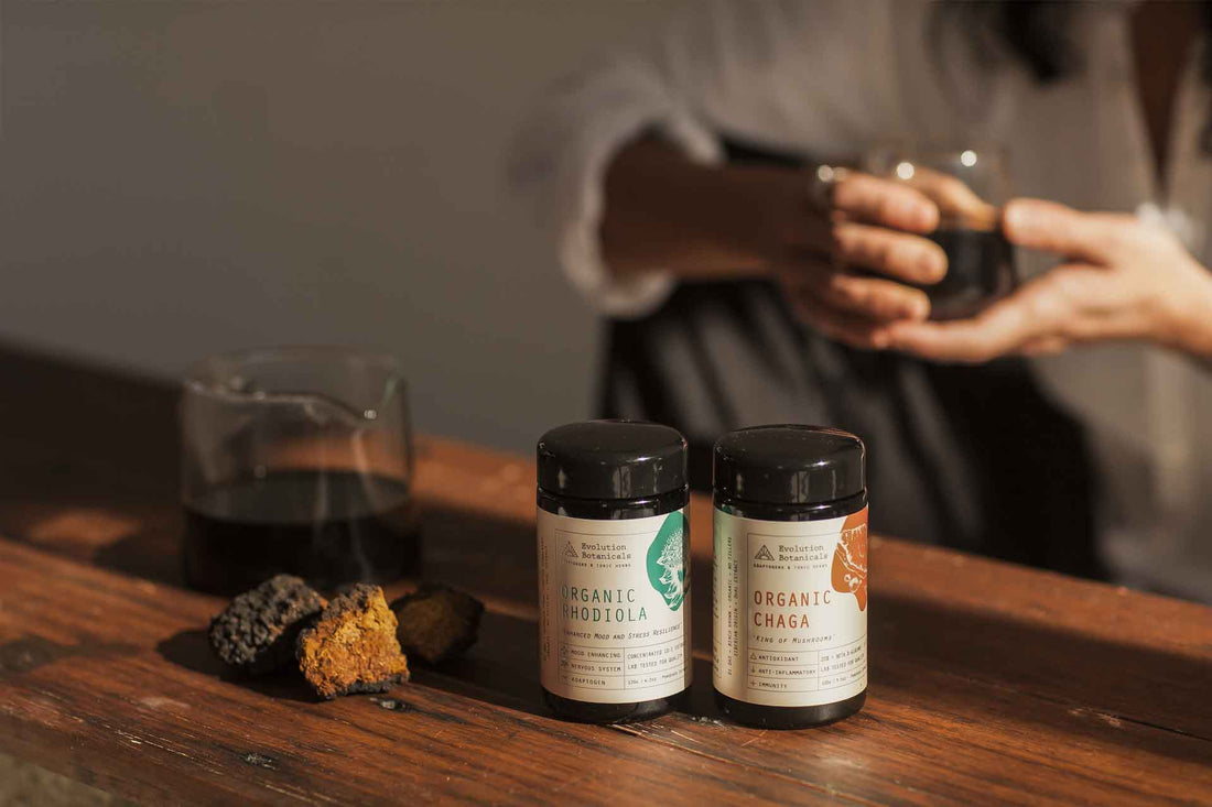 2 Evolution Botanical jars of Rhodiola and Chaga sitting on a wooden table next to a beaker with an unknown liquid inside. 
