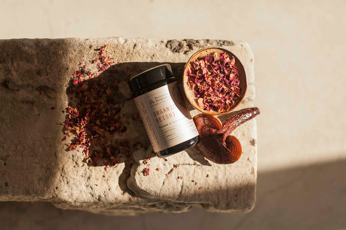 Evolution Botanicals jar of Reishi lying horizontally on a stone next to a Reishi mushroom and rose petals in a bowl.