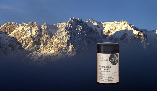 A jar of Evolution Botanicals Himalayan Shilajit infront of a background of a mountain range. 