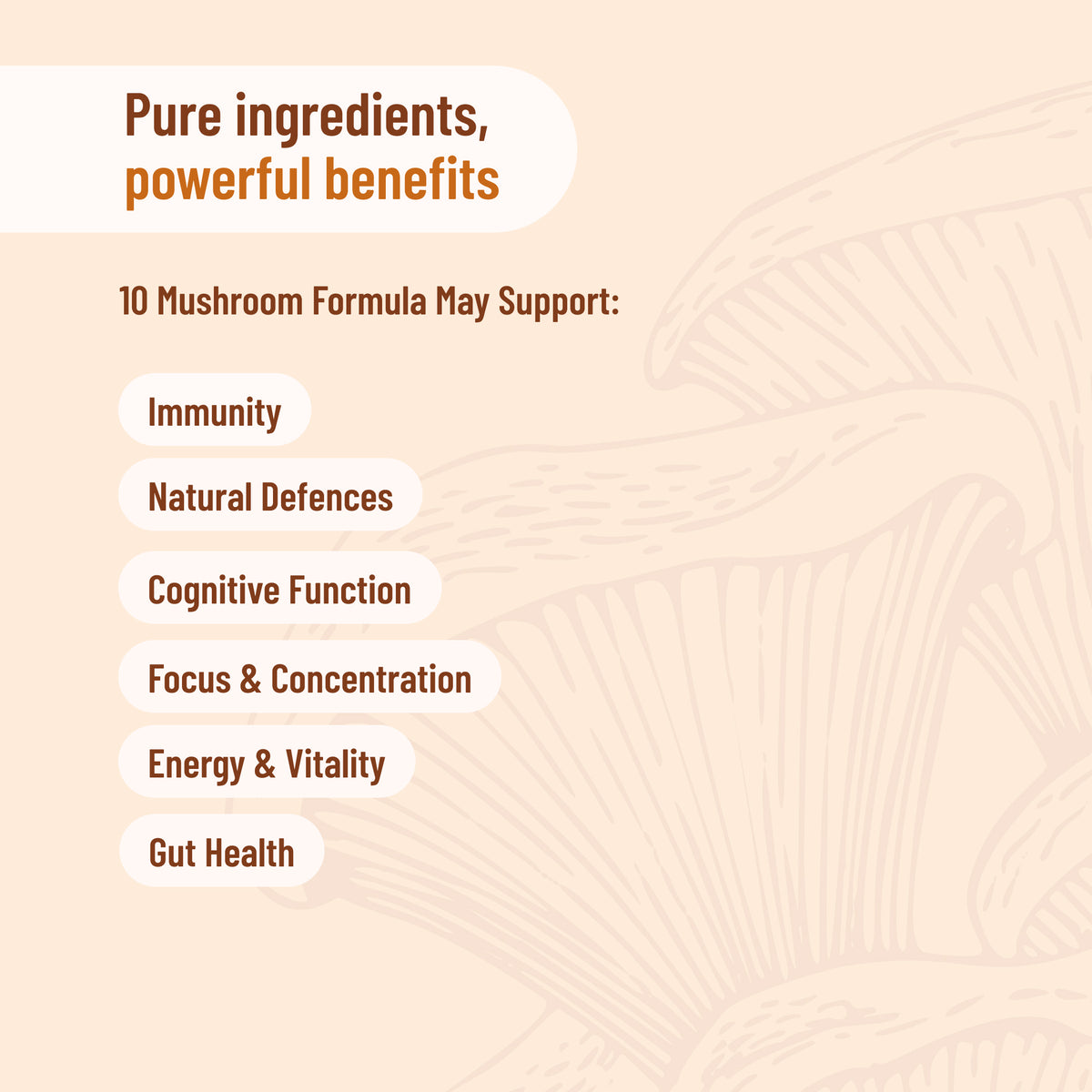 10 Mushroom Formula