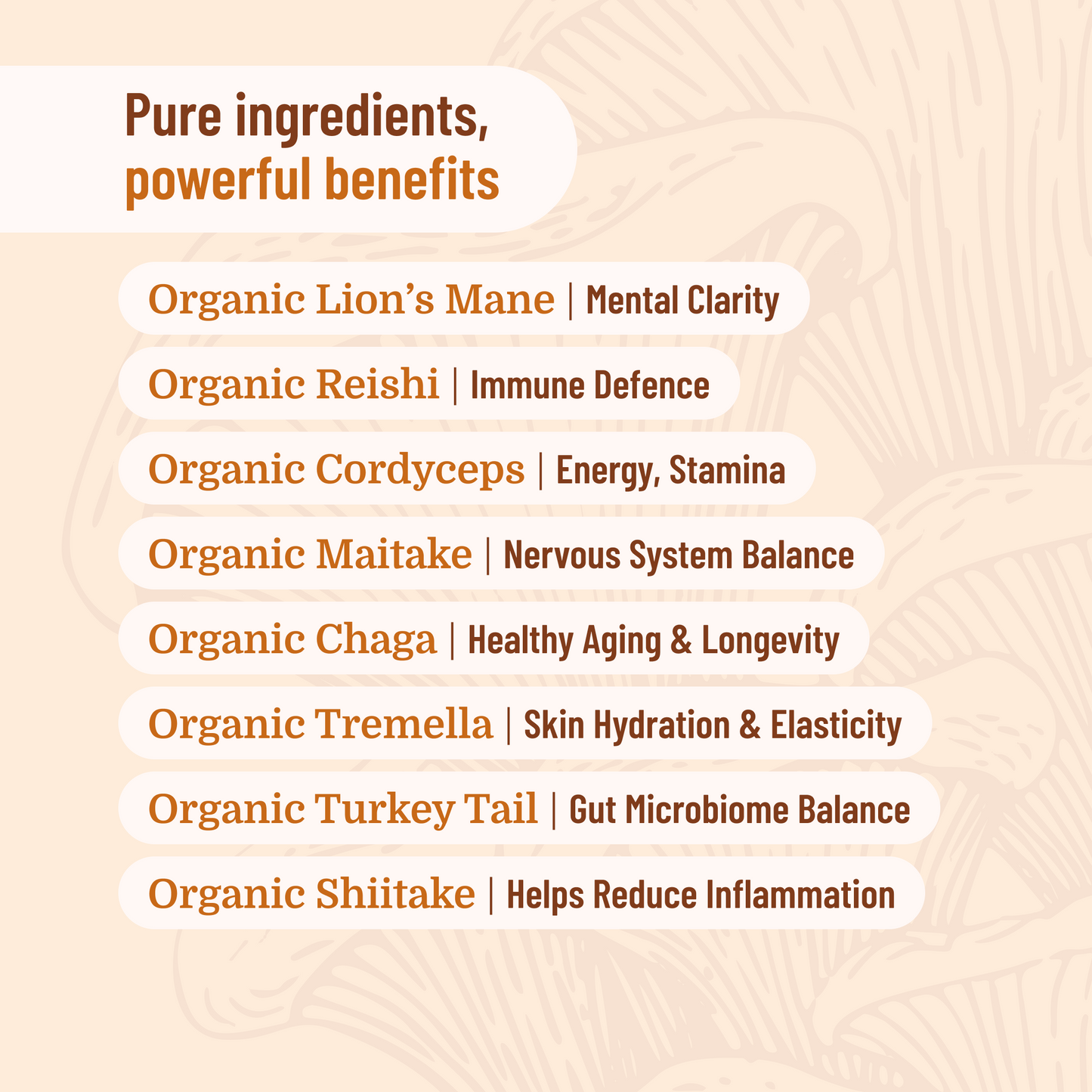 List Of 10 Mushroom Formula Benefits 