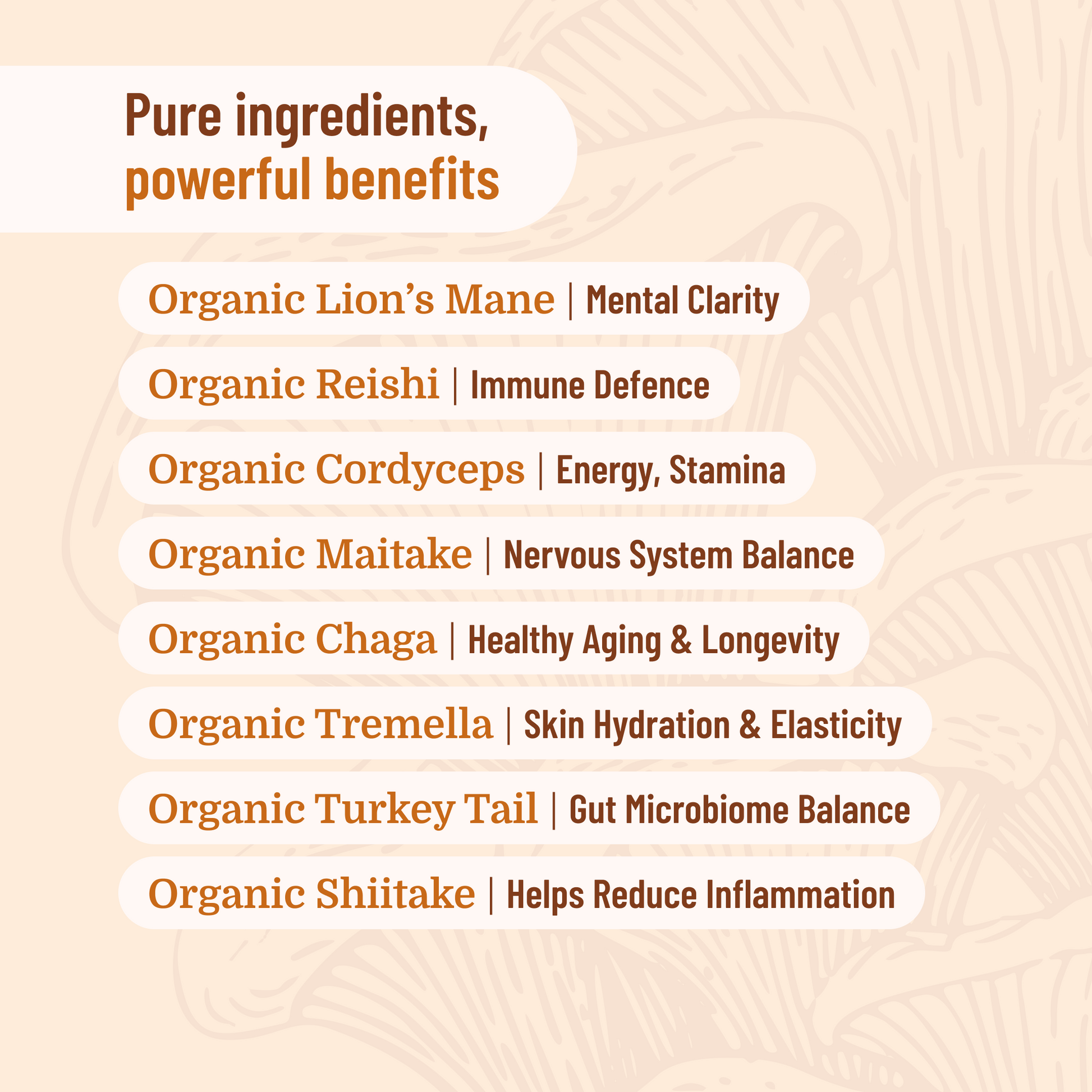 List Of 10 Mushroom Formula Benefits 