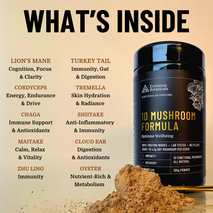 Whats inside our 10 Mushroom Formula