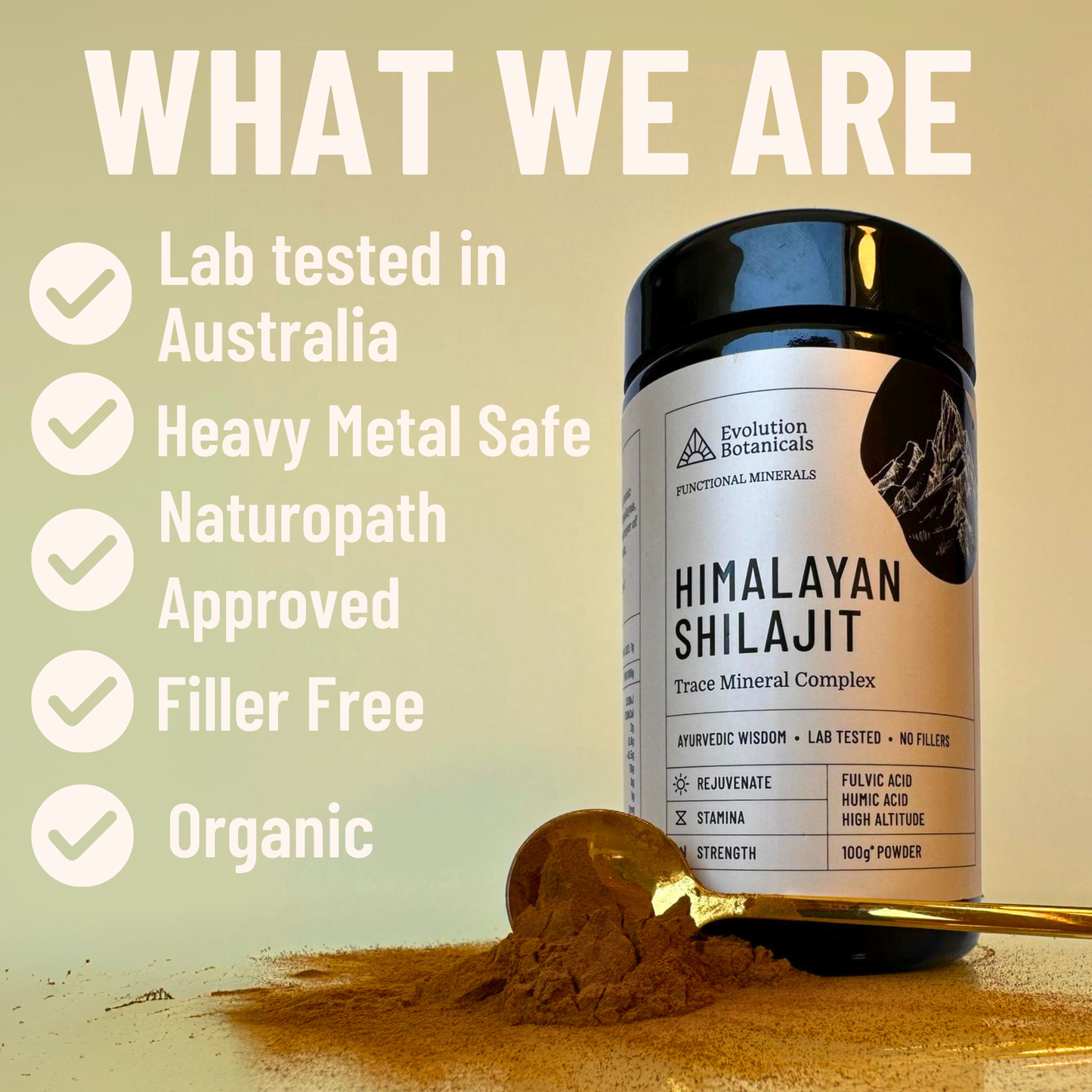 Evolution Botanicals Shilajit Qualities  