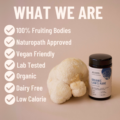 Evolution Botanicals Lion's Mane Benefits 