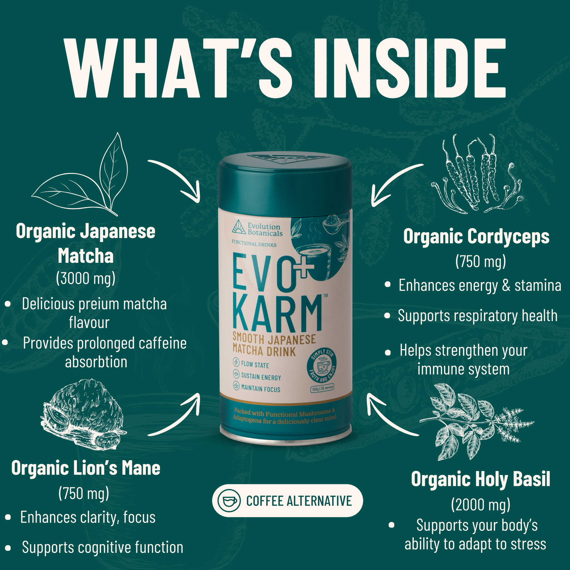 What's In Evo Karm Matcha 