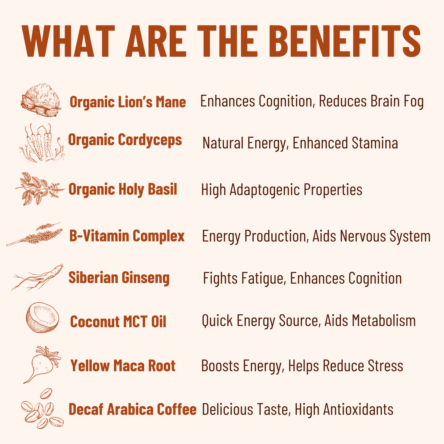 Evo Coffee Benefits 