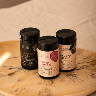 Functional Mushrooms, Adaptogens & Tonics Herbs – Evolution Botanicals