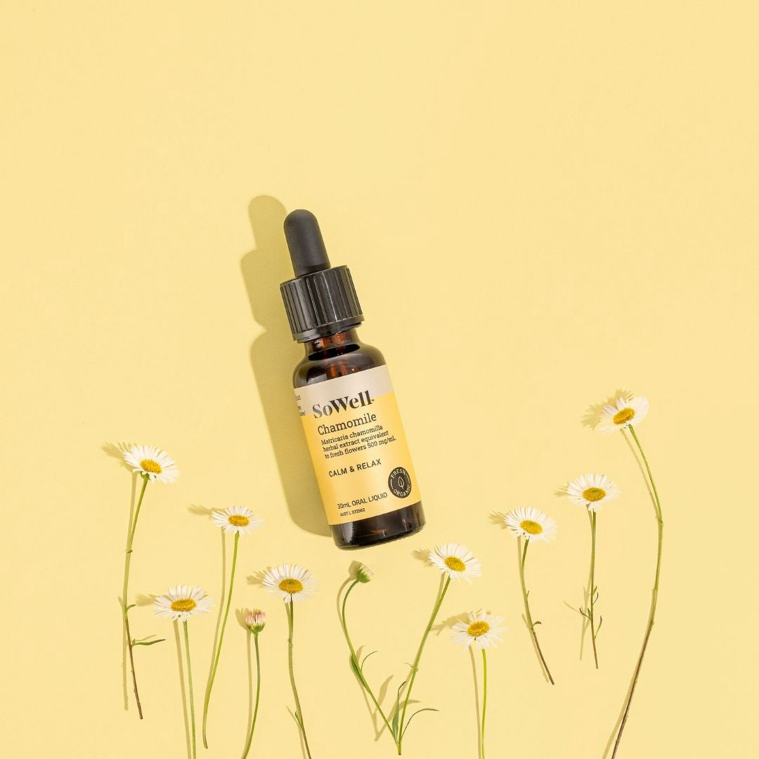 A wide shot of 30ml of Chamomile Extract tincture liquid on a yellow background with daisies around it