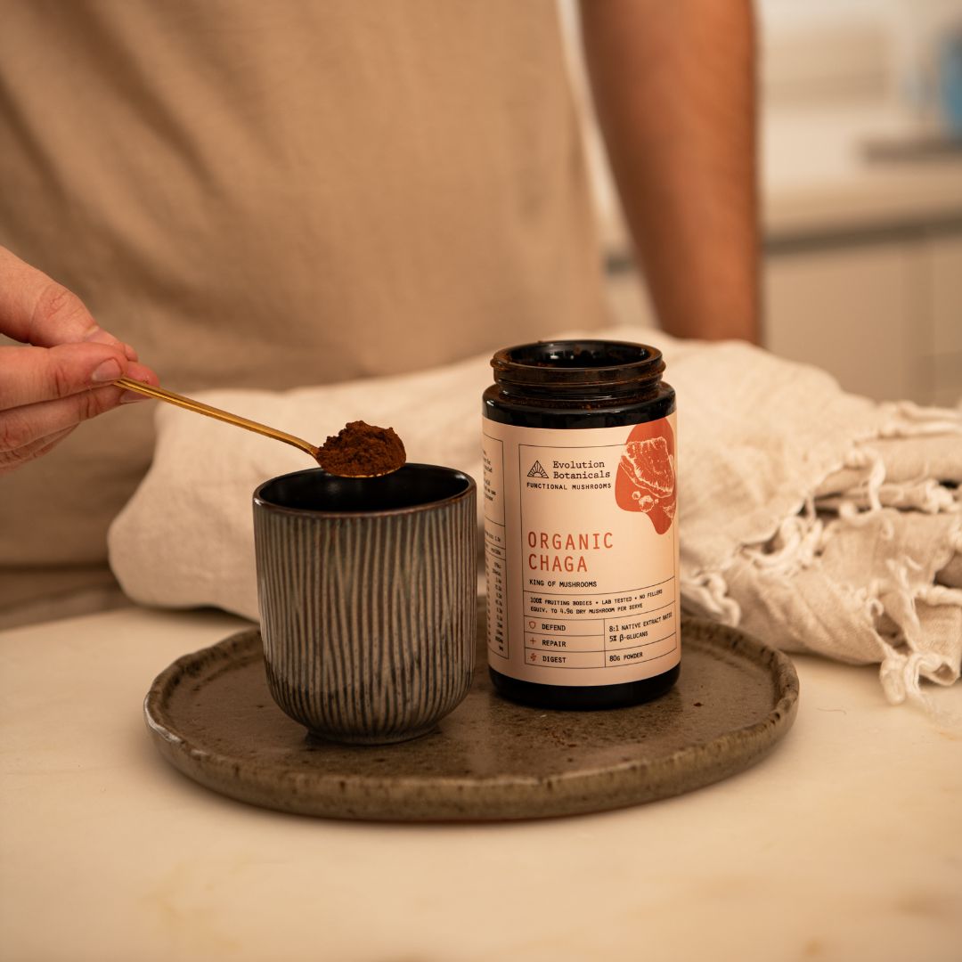 A closeup of a 80g jar of Organic Chaga with a heaped spoon of Chaga powder above a mug