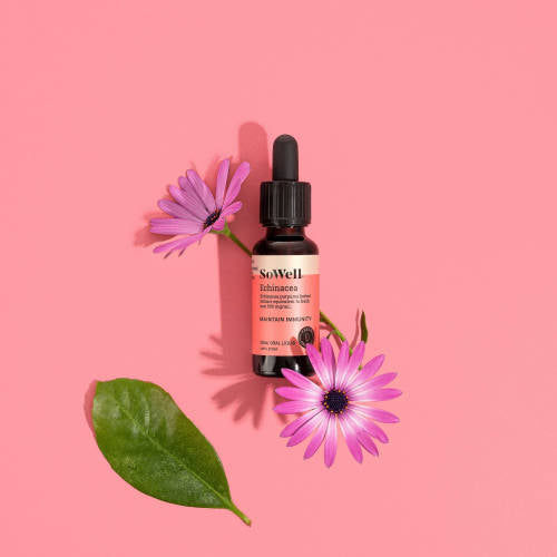 A wide shot of A 30ml dropper bottle of SoWell Echinacea Tincture on a pink background with flower stems surrounding the bottle