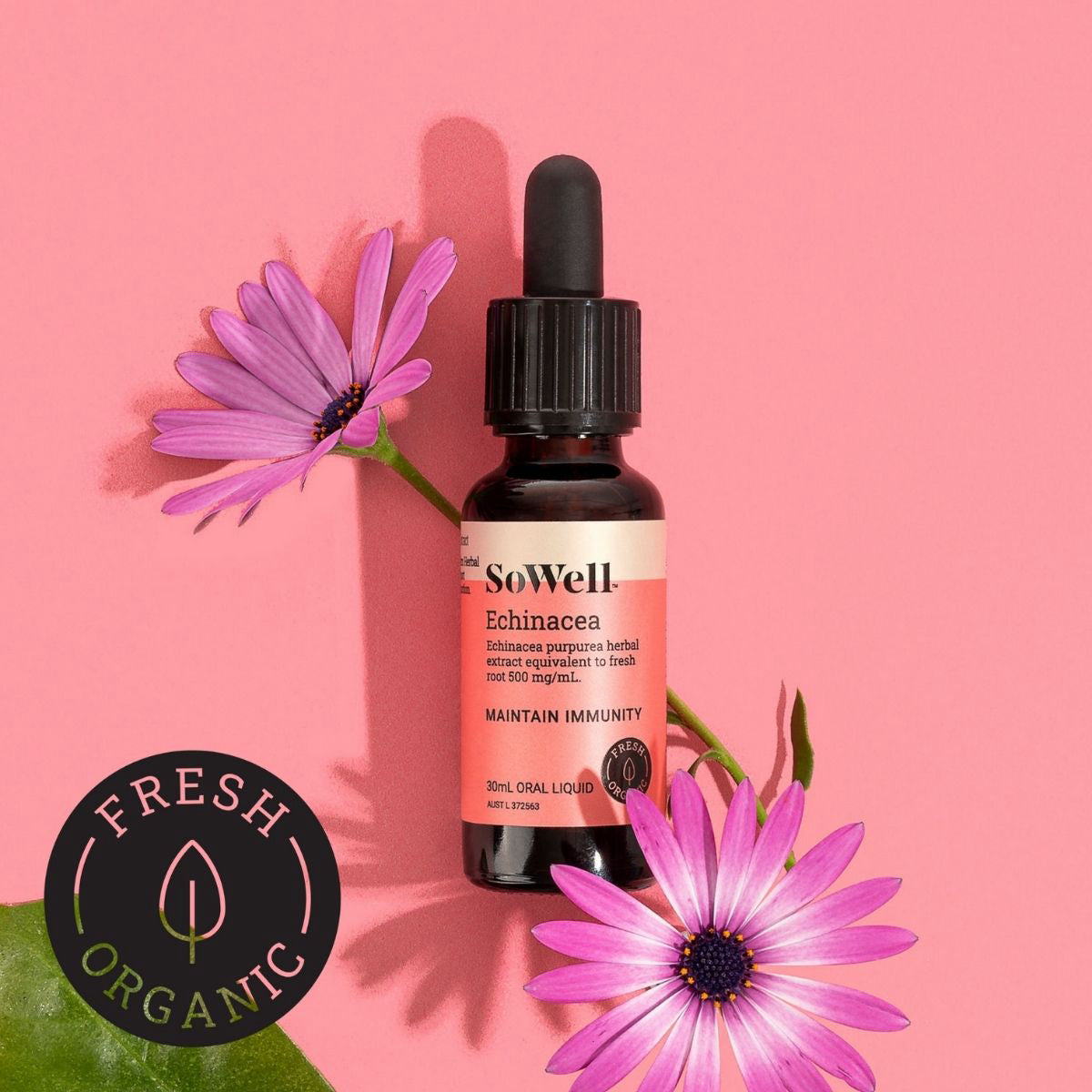 A 30ml dropper bottle of SoWell Echinacea Tincture on a pink background with flower stems surrounding the bottle