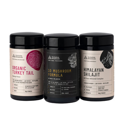 3 100g jars of Evolution Botanicals organic powders, showing Organic Turkey Tail, 10 Mushroom Formula, and Himalayan Shilajit