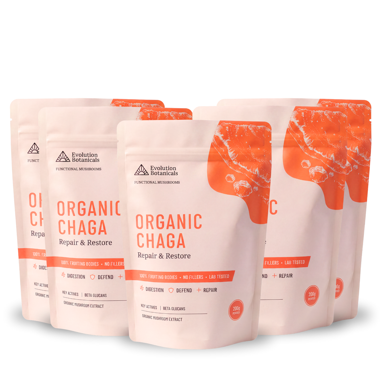 Organic Chaga