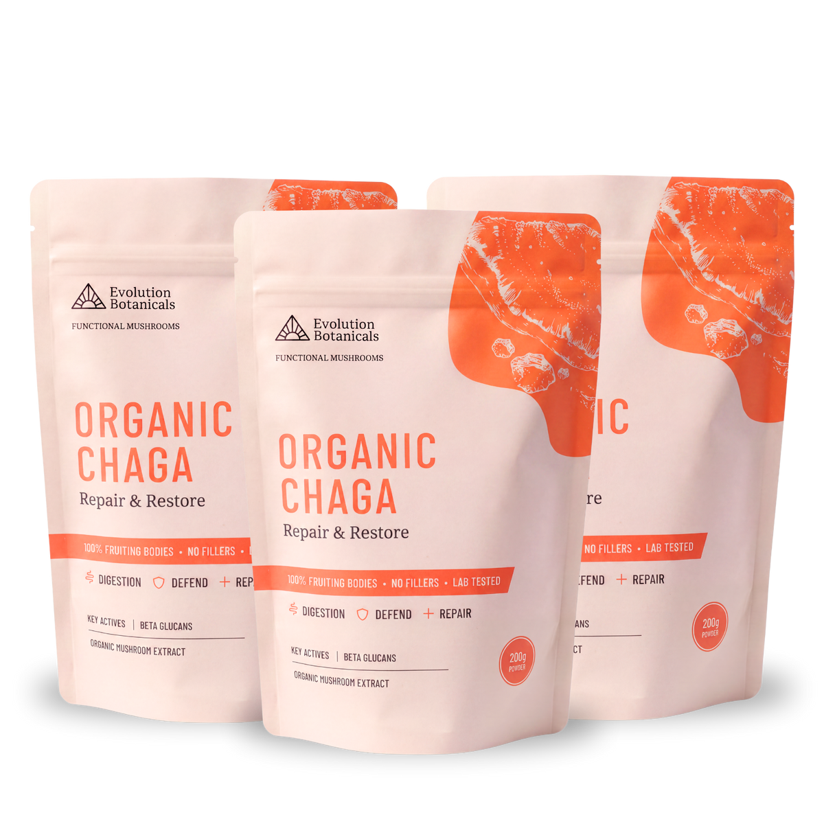 Organic Chaga