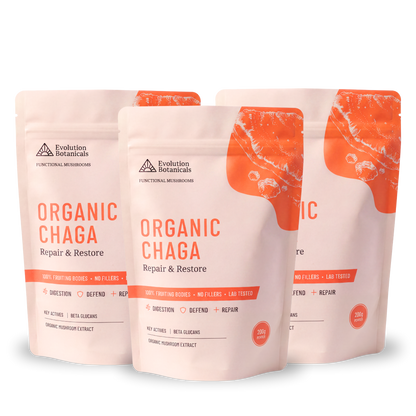 Organic Chaga