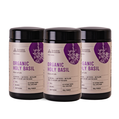 Organic Holy Basil