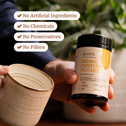 Organic Cordyceps Militaris