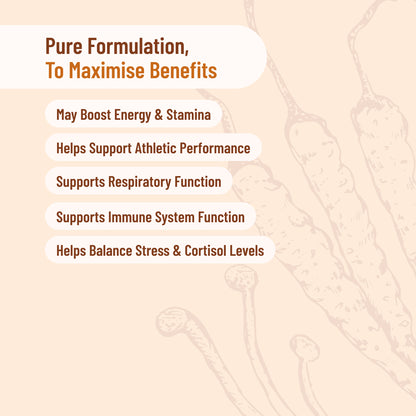 Organic Cordyceps Militaris